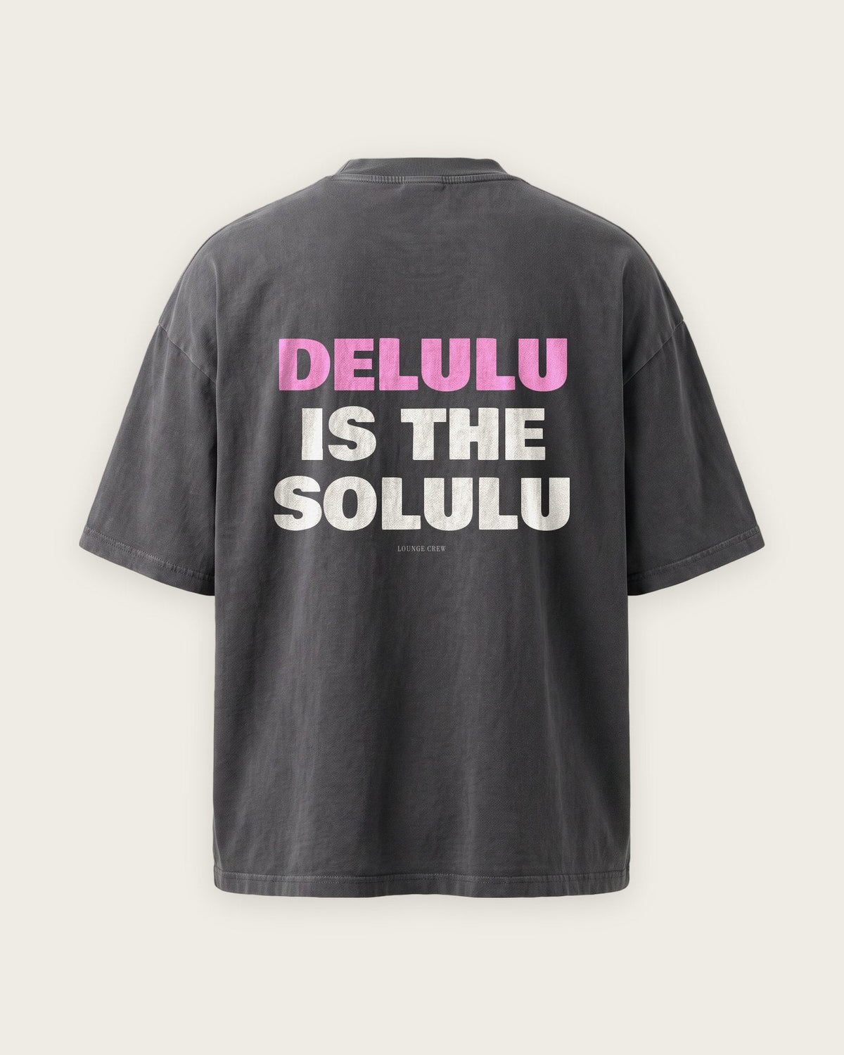 Camiseta Oversized “Delulu Is the Solulu” — Cinza Estonado