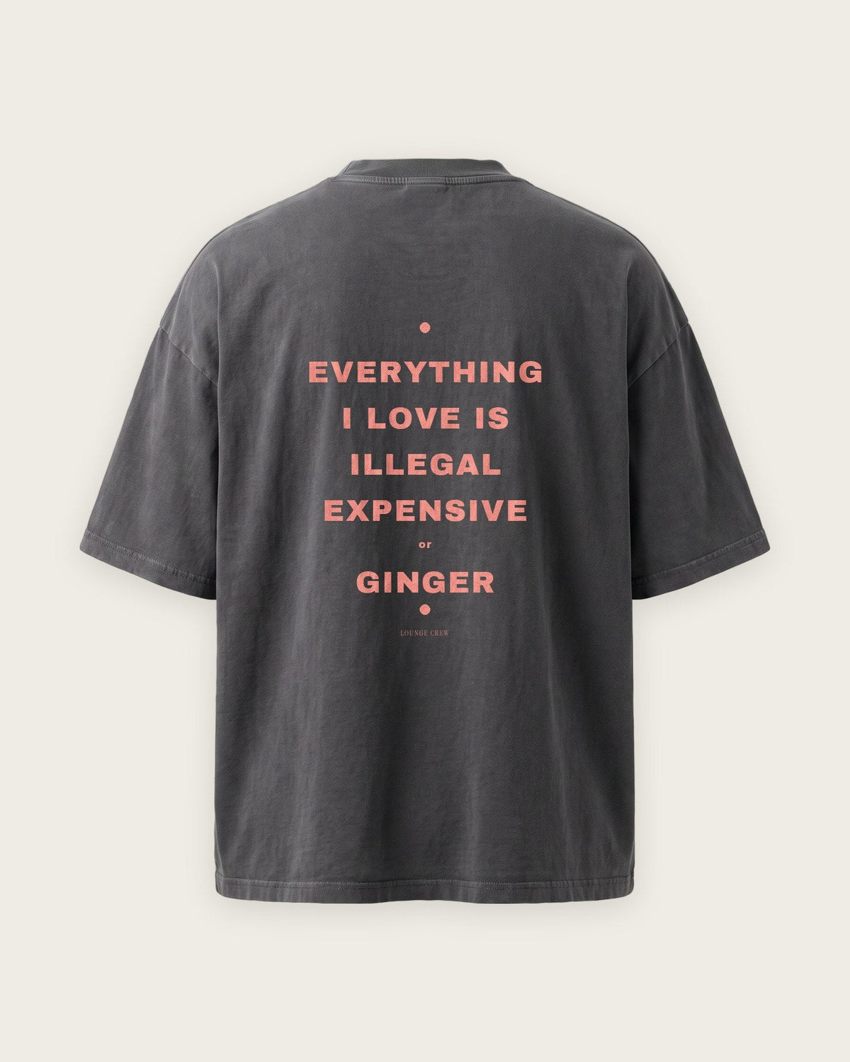 Camiseta Oversized “Everything I Love Is Illegal, Expensive or Ginger” — Cinza Estonado